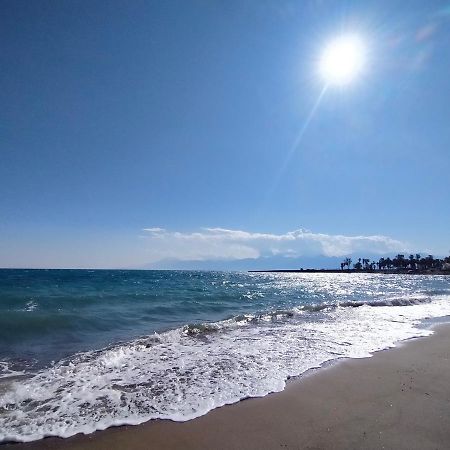 Denizim Villa & Apartments Antalya Buitenkant foto