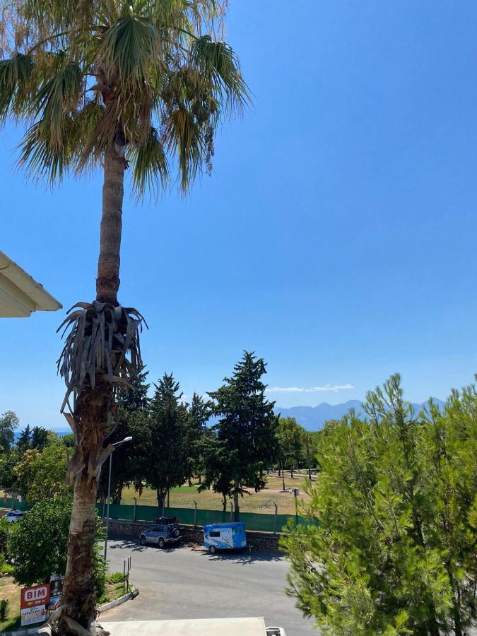 Denizim Villa & Apartments Antalya Buitenkant foto